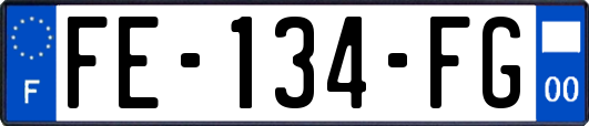FE-134-FG