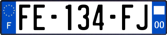 FE-134-FJ