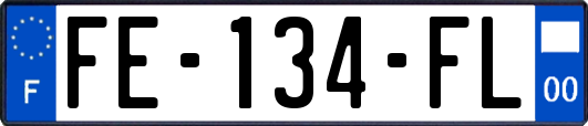 FE-134-FL