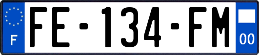 FE-134-FM