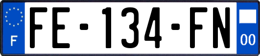 FE-134-FN