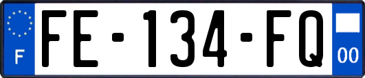 FE-134-FQ