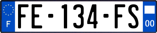 FE-134-FS