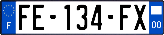 FE-134-FX