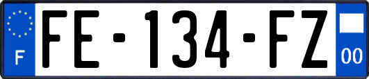 FE-134-FZ