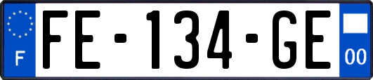 FE-134-GE