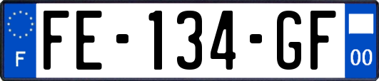 FE-134-GF