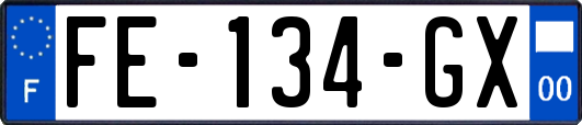 FE-134-GX