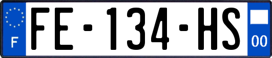FE-134-HS
