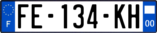 FE-134-KH