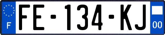 FE-134-KJ