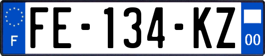 FE-134-KZ