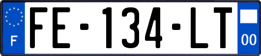 FE-134-LT