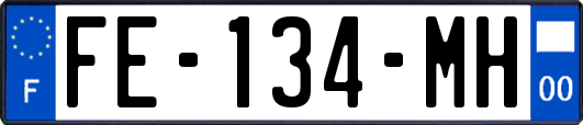 FE-134-MH