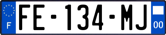 FE-134-MJ