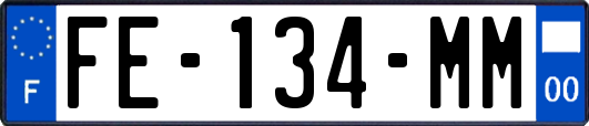 FE-134-MM