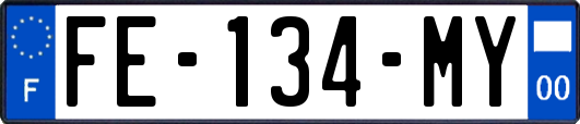 FE-134-MY