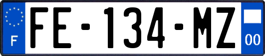 FE-134-MZ