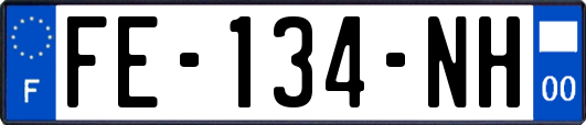 FE-134-NH