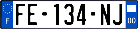 FE-134-NJ