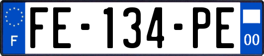 FE-134-PE