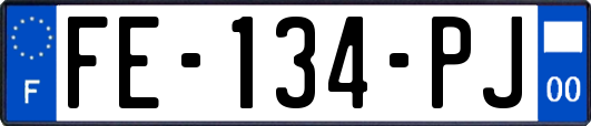 FE-134-PJ