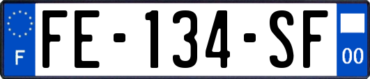 FE-134-SF