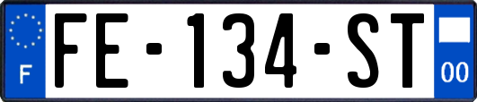 FE-134-ST