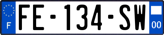 FE-134-SW