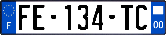 FE-134-TC