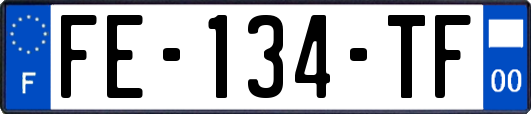 FE-134-TF