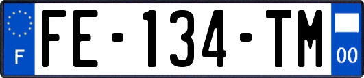 FE-134-TM