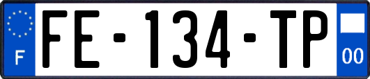 FE-134-TP