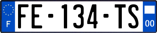 FE-134-TS