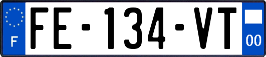 FE-134-VT