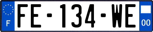 FE-134-WE