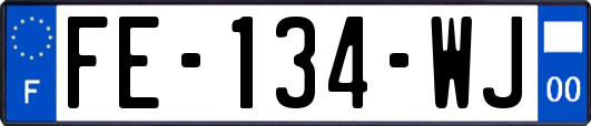 FE-134-WJ