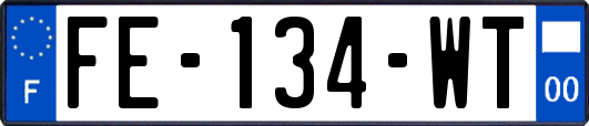 FE-134-WT