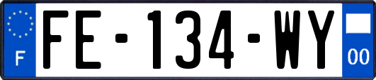 FE-134-WY