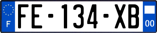 FE-134-XB