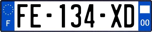 FE-134-XD