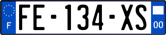 FE-134-XS