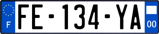 FE-134-YA