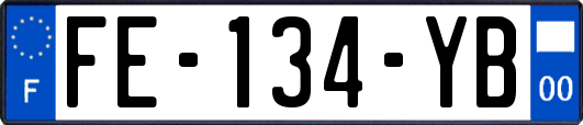 FE-134-YB
