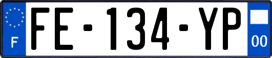 FE-134-YP