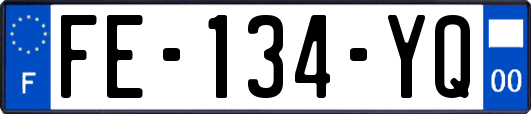 FE-134-YQ