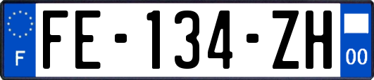 FE-134-ZH
