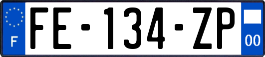 FE-134-ZP