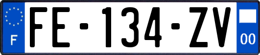 FE-134-ZV