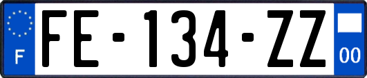 FE-134-ZZ